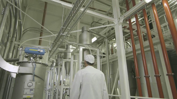 Technicien Brambati devant une installation pour la gestion de farines alimentaires