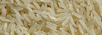 ICA pour le conditionnement du riz