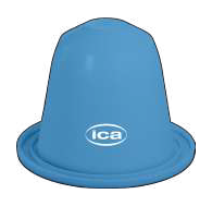 Capsule ICA