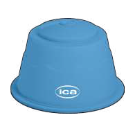 Capsule ICA