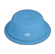 Capsule ICA