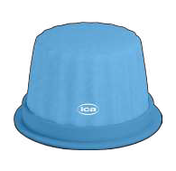 Capsule ICA