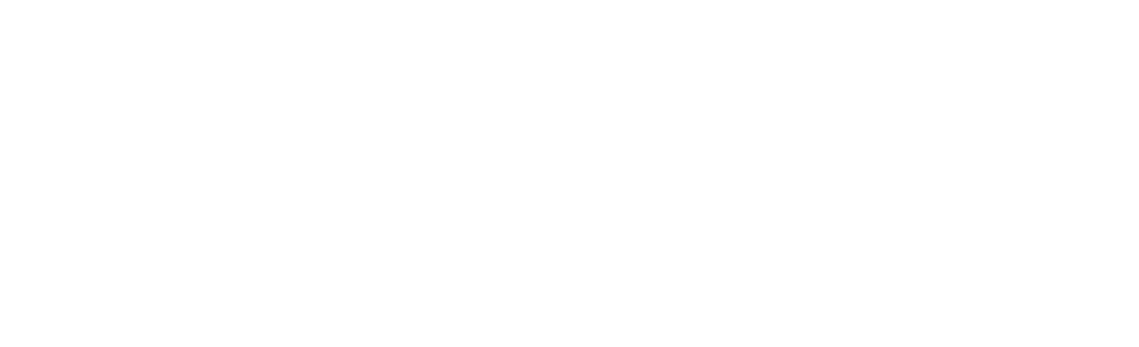 Logo SFS - Blanc