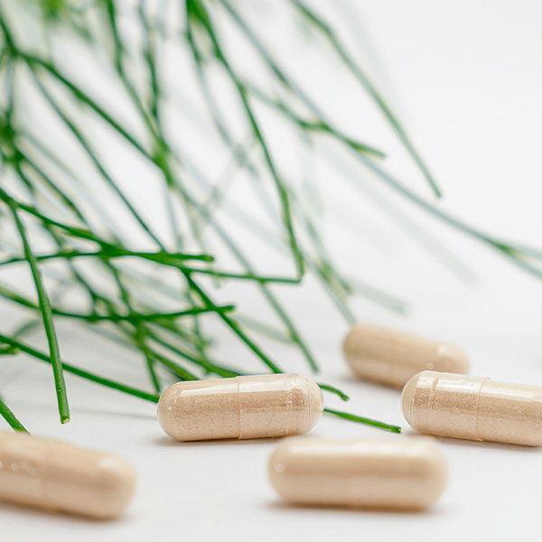 Les solutions pour le conditionnement pharmaceutique